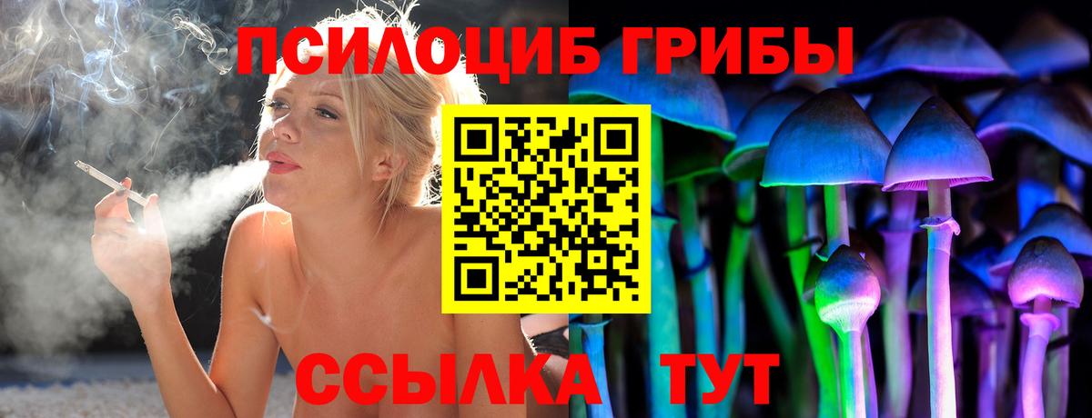 Псилоцибиновые грибы Magic Shrooms  Галлюциногенные грибы Psilocybe  Костомукша  Вход с VPN 