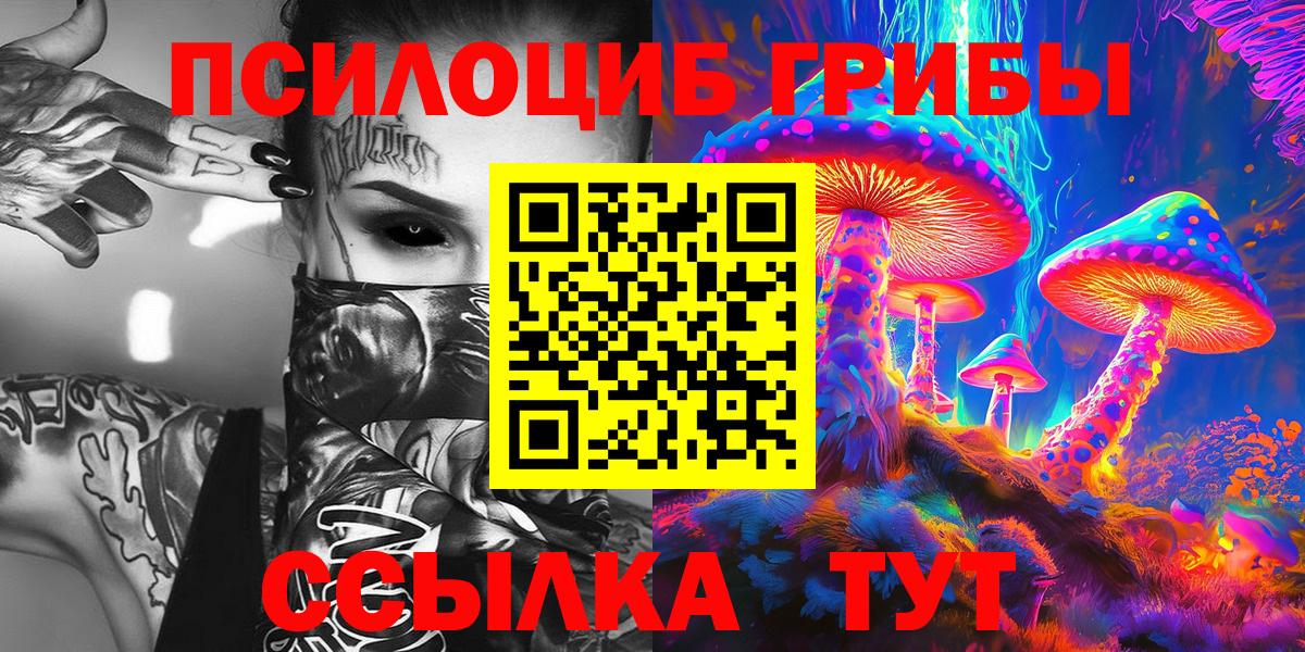 Галлюциногенные грибы Psilocybe Костомукша